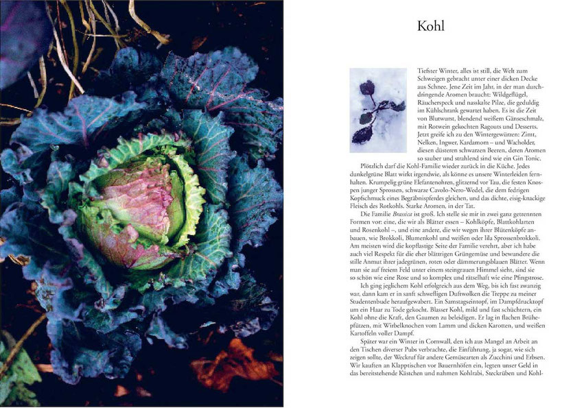 Kochbuch Nigel Slater Tender • Gemüse