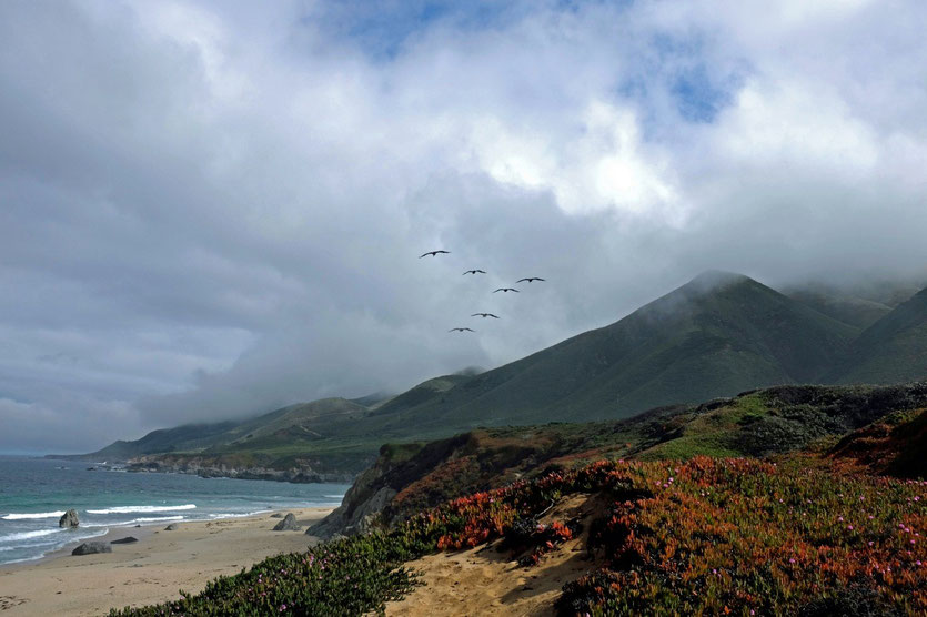 Garrapata State Park Beach
