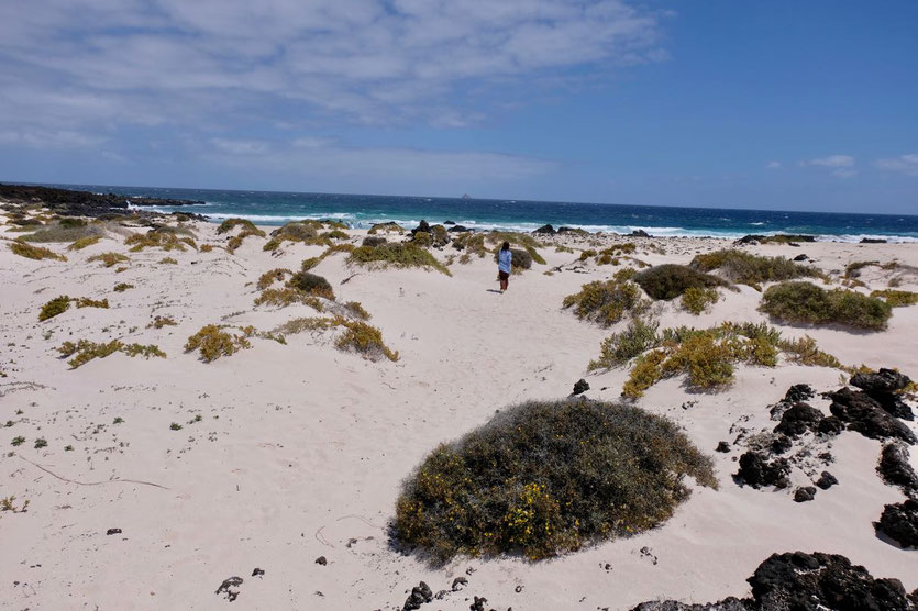 Caleta del Espiral Caletones Lanzarote North Beaches weiße Dünenstrände