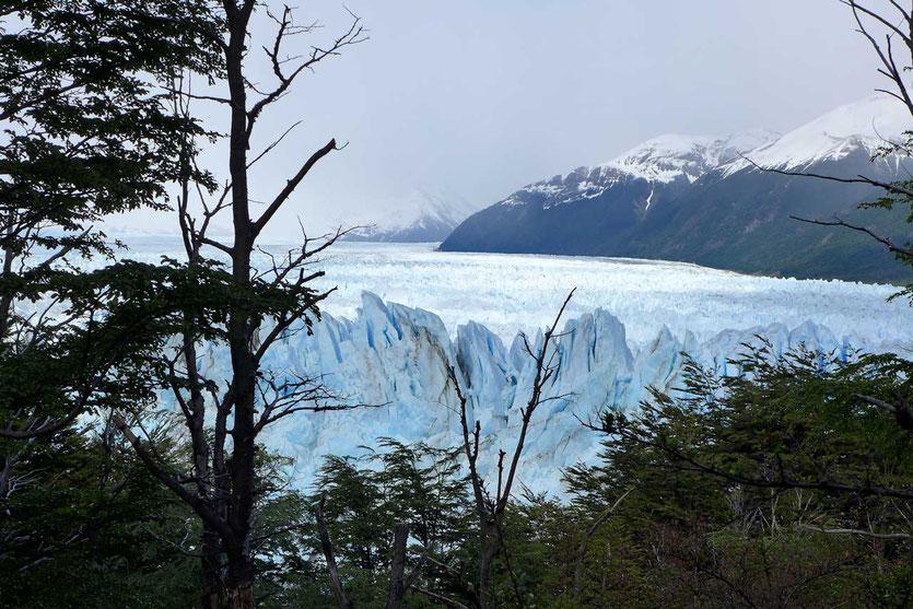 Weg durch den Lenga-Wald Perito Moreno Aussichtsstege Nationalpark Los Glaciares