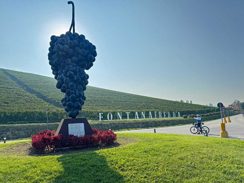 Weingut Fontanafredda 