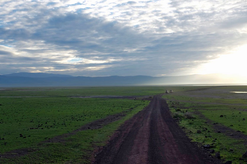 Ngorongoro Crater Game Drive