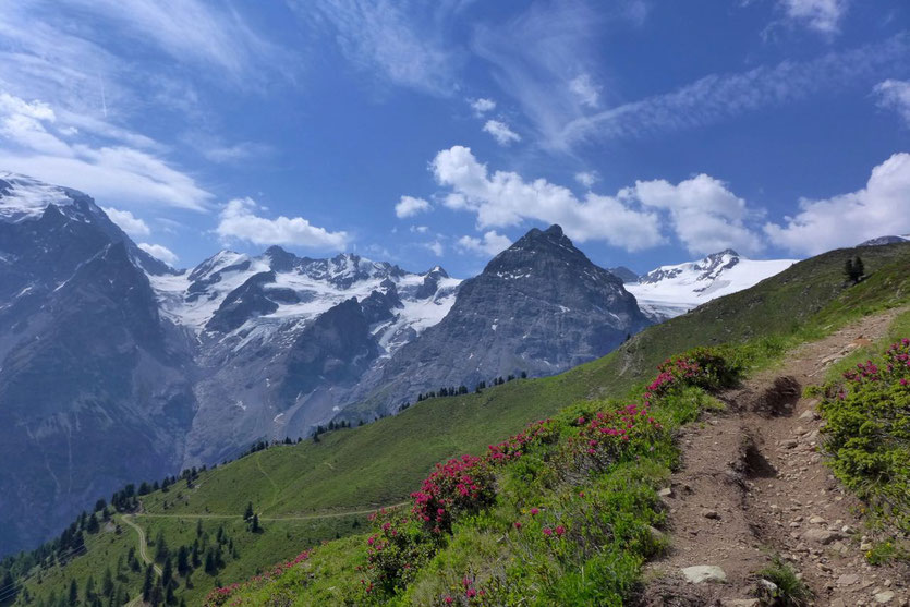 Trafoier Höhenweg Wandern Ortlergruppe Stilfserjoch mit Kindern Sulden Wandertouren
