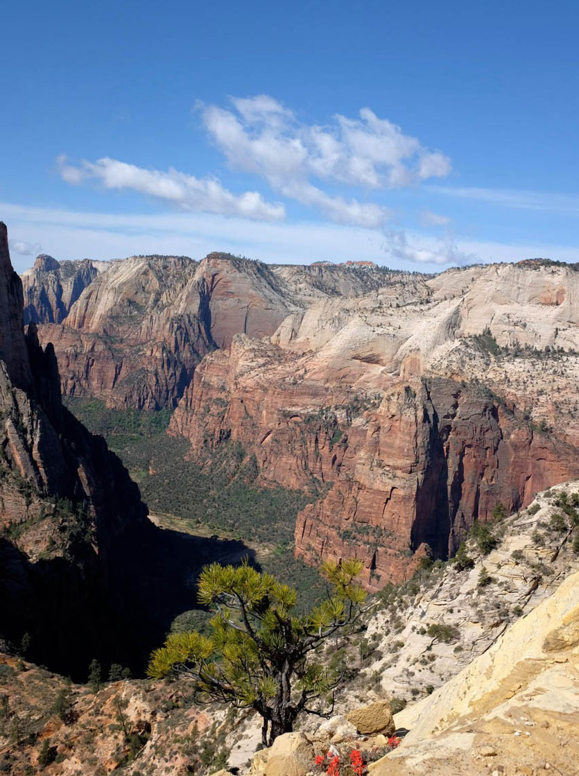 Passage direkt am Rim entlang, Observation Point Trail, Zion NP