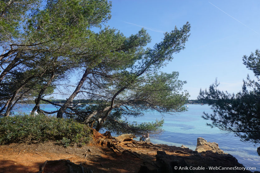 Agréable balade sur l'île Ste Marguerite, au cadre sauvage et préservé - Festival de Cannes 2017 - Photo © Anik Couble