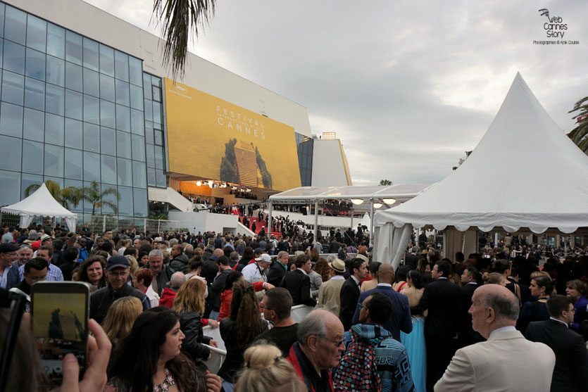 La foule des grands soirs, pour  la montée des marches du film "Café Society" de Woody Allen - Festival de Cannes 2016 - Photo © Anik Couble