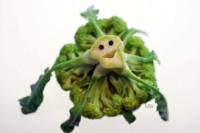 Schwierig für mich, die Mimik des Broccoli zu deuten. Ob er gerne in die Suppe möchte oder nicht, bin ich nicht sicher. 