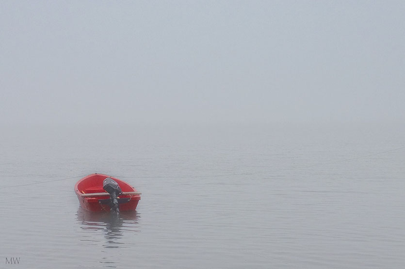 Canso. Dichter Nebel, so keine Chance auf Grassy Island zu fahren. 