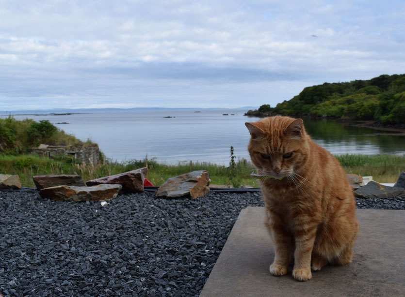 The Dower House, Isle of Islay, Scotland