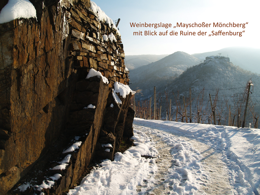 Die Weinbergslage "Mayschoßer Mönchberg" umrahmt Mayschoß fast komplett auf der rechten Ortsseite. Bestellen Sie die Weine aus Mayschoß hier im Online-Shop für Ahrweine zu original Kellerpreisen.