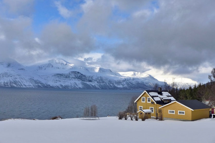 Lyngen Alpen Ullsfjord Lenangen