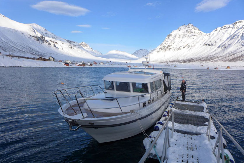 Lyngen Alps - Skitouren per Boot