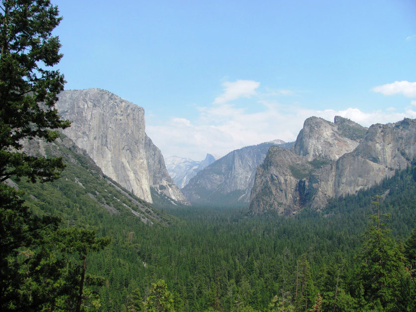 Tunnel view