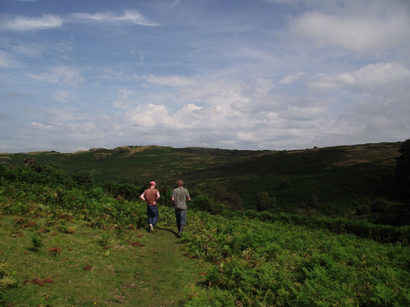 Dartmoor, Devon, England