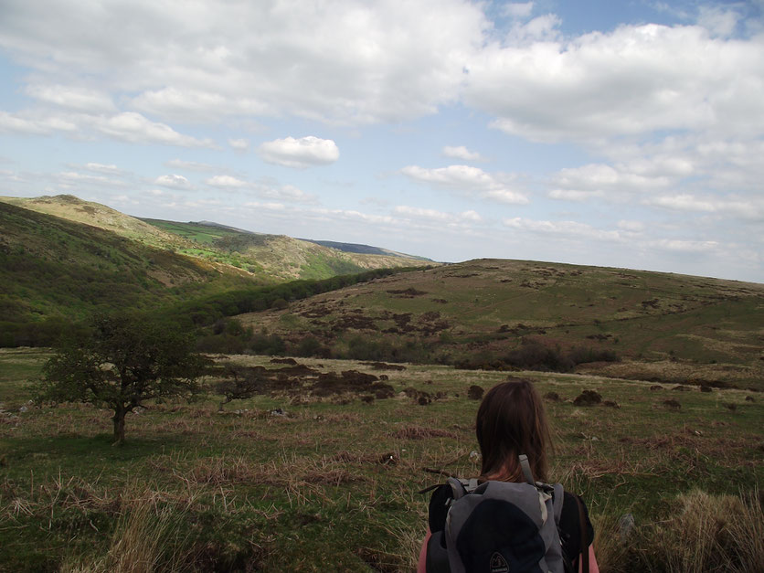 Camping, Dartmoor, Devon, England, UK