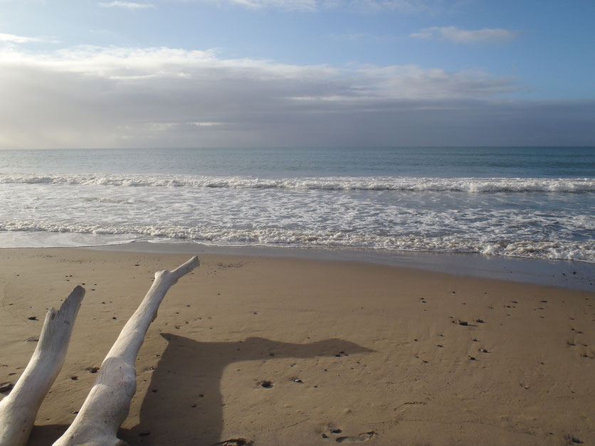 Mission Beach
