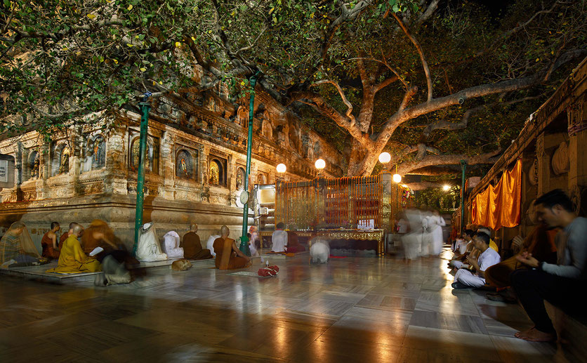 Bodhgaya, Bodhi Baum, Siddhartha Gautama