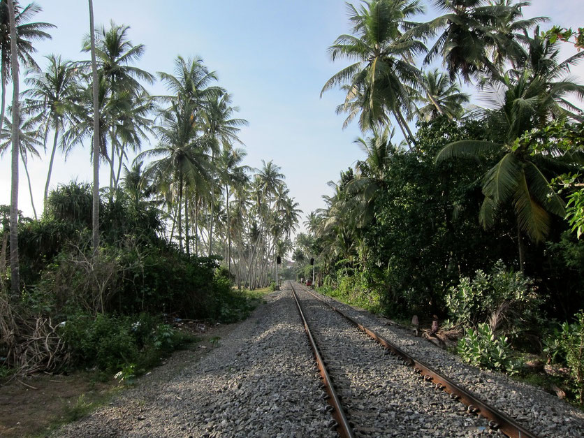 Bentota Railway Sri Lanka