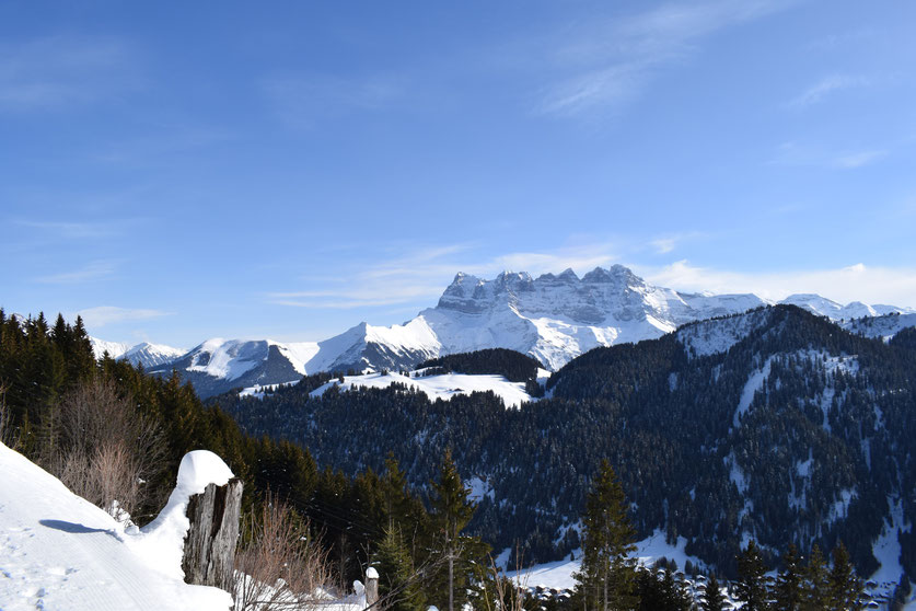 Winter snow, Morgins, Switzerland 