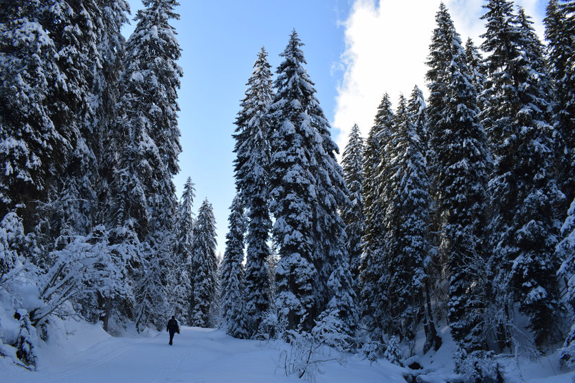 river walk, Winter snow, Morgins, Switzerland 