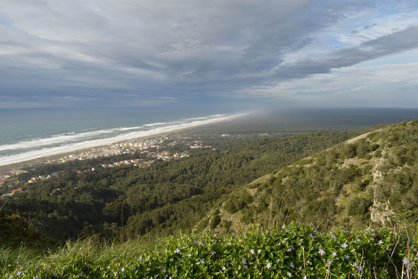 Monumento Natural do Cabo Mondego, Quiaois