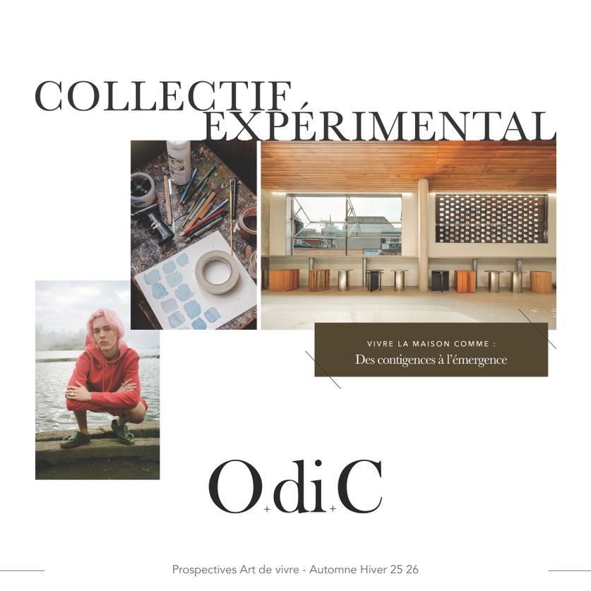 Tendance couleurs, Art de vivre, automne hiver 25-26, autumn winter 25-26, colour trends, lifestyle trends