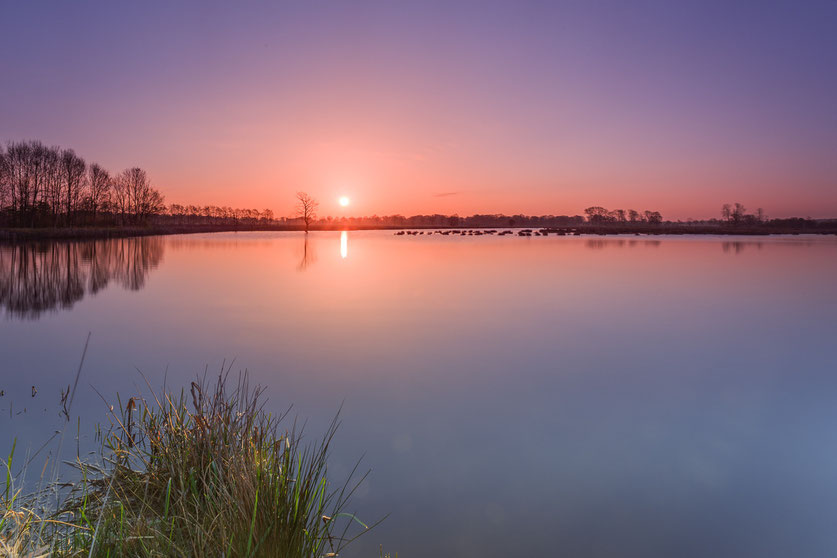 Zonsopkomst Ruinen