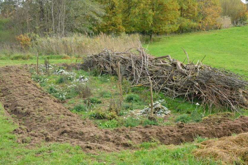 Hier wurde eine neue Heckenstruktur mit Saum angelegt und dahinter noch mit Totholz ergänzt.