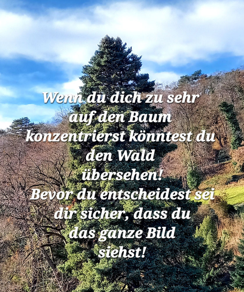 WICHTIG IST ES, DAS CHAOS ZU ERKENNEN OHNE SICH VON IHM VEREINNAHMEN ZU LASSEN!
