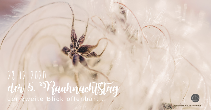 Bedeutung der Rauhnächte, Sonnenjahr, Sonnwende, Jahreswechsel , ZeitQualität, intuitive Astrologie