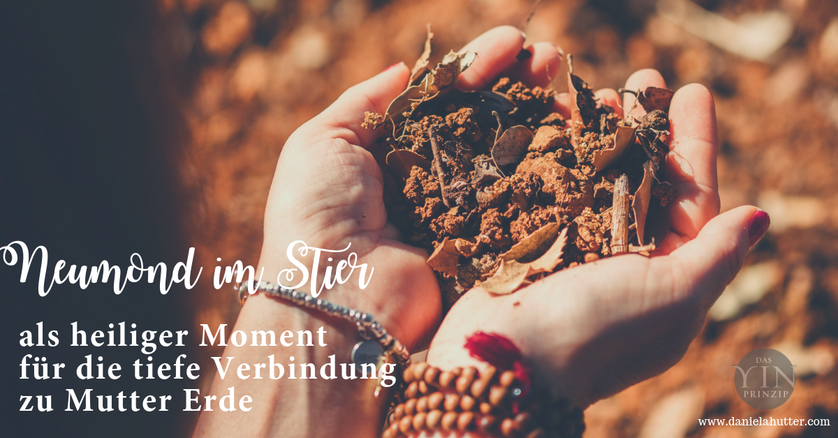 Daniela Hutter bloggt über die Zeitqualität von Neumond im Stier und Tagesenergie am 05.05.2019