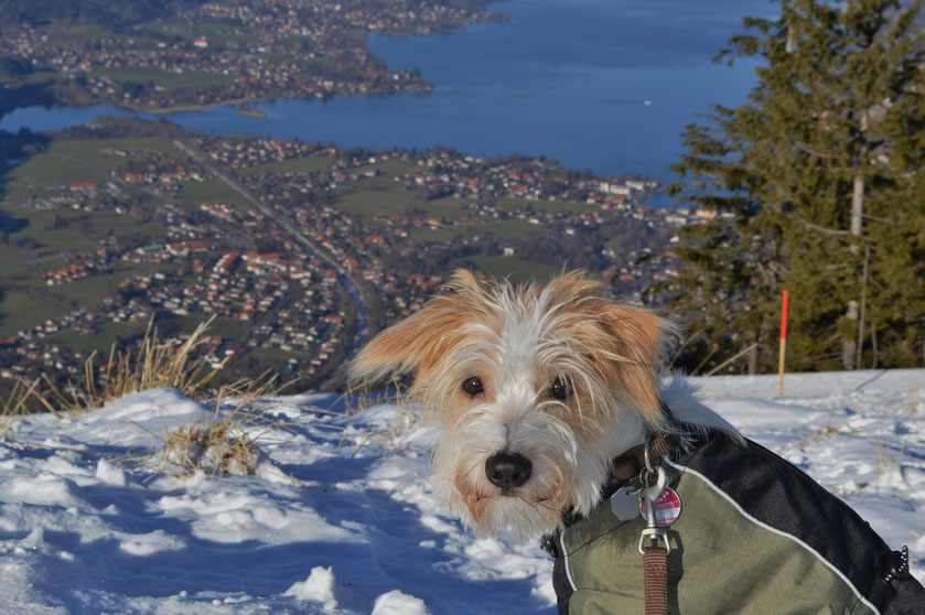 Wandern auf den schneebedeckten Bergen um den Tegernsee