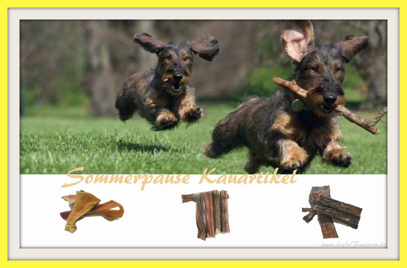 Reico Kauartikel für Hunde. Auch in diesem Jahr werden wir unsere naturbelassenen Trockenfleischspezialitäten Rinderstrossen, Rinderkopfhaut und Dörrfleisch in die Sommerpause schicken.
