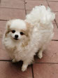 Chelsy 5/22