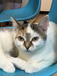 Wilma 1/22