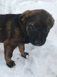 Greta-April 18