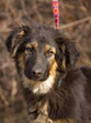Charlie-Apr. 18