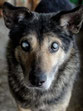 Misha 5/22