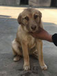 Bailey 5/2019