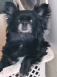 Zena 7/26