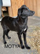 Motya 5/22