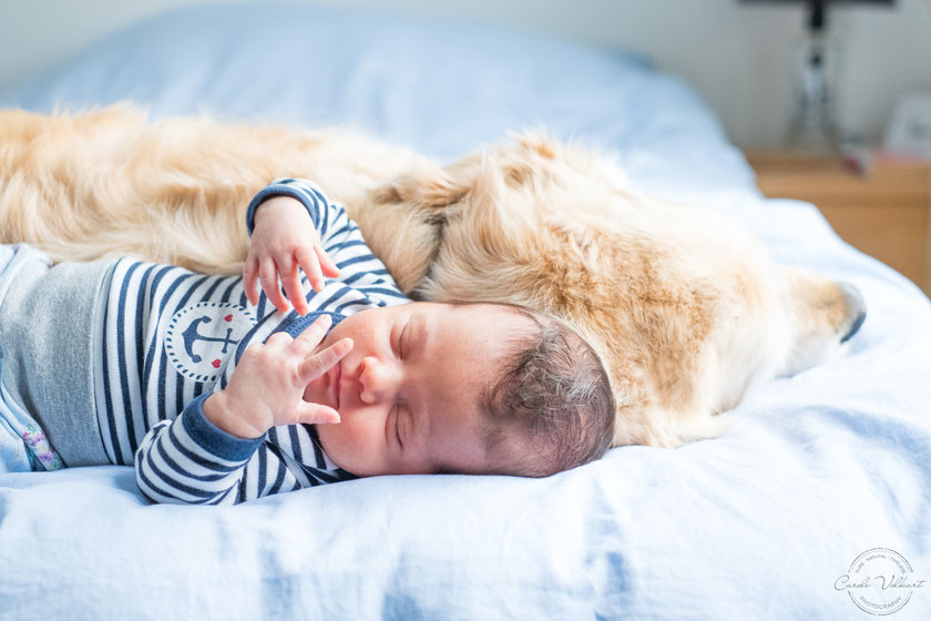 Neugeborenenfotografie, Babyfotografie, Babyfotos, Zuhause, Newbornshooting, Newbornfotografie, Babyshooting, Babyfotograf, Newbornfotograf, Baby Fotoshooting, Homestory, Homeshooting