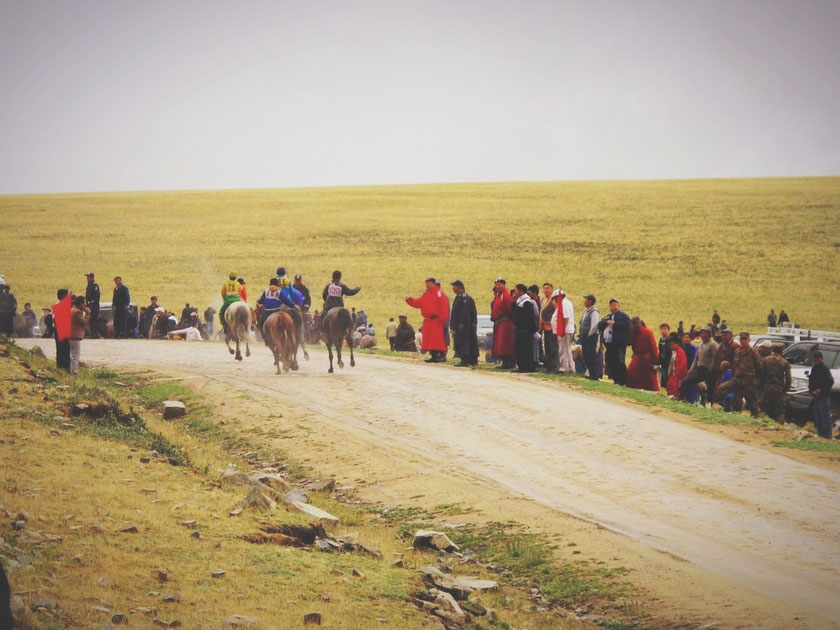 bigousteppes mongolie naadam course chevaux nomades route