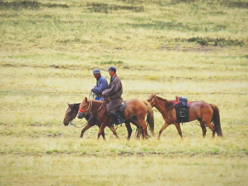 bigousteppes mongolie naadam chevaux nomades