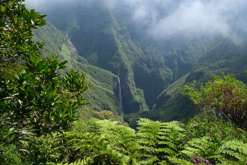 Cascade du Trou de Fer dans la Forêt de Bélouve, La Réunion
