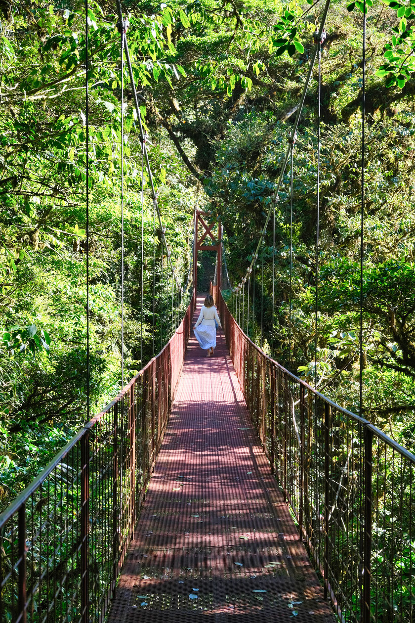 Reserva Biologica Bosque Nuboso Monteverde, Costa Rica