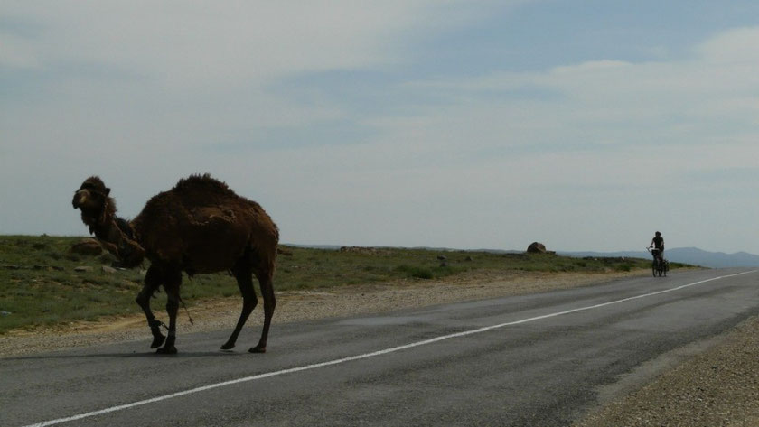 Dans le desert de Mangistau