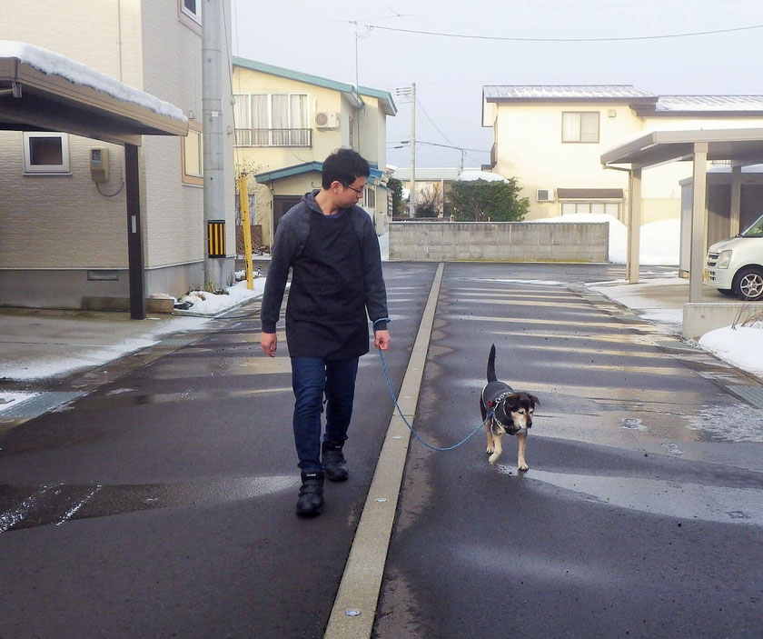 犬 画像