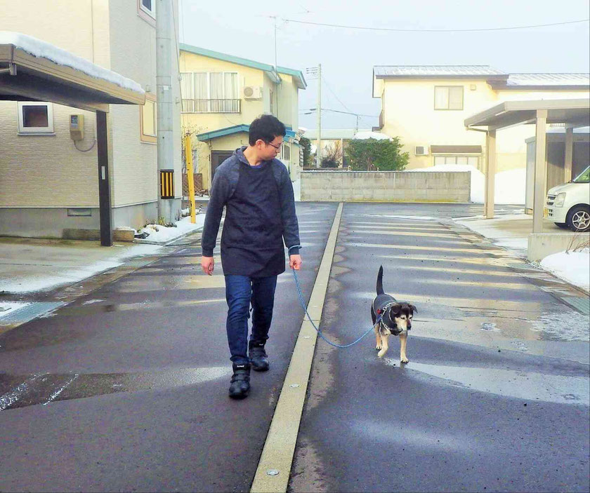 お散歩中