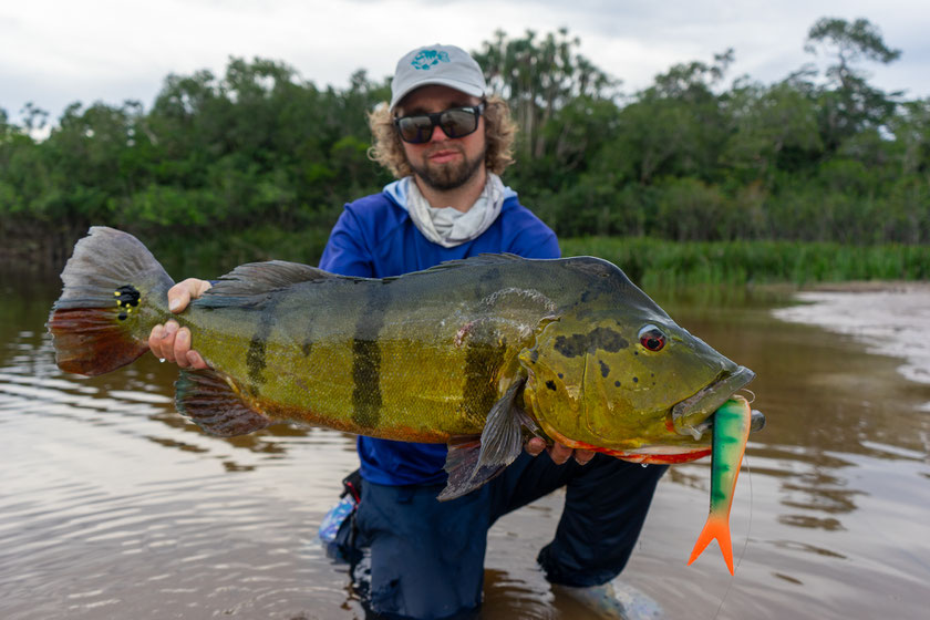 Peacock Bass River2sea